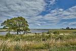 Meerblick - Atelierhaus Schilfgras - Top-Hundeurlaub