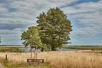 Meerblick - Atelierhaus Schilfgras - Top-Hundeurlaub