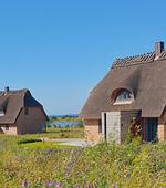 Meerblick - Atelierhaus Haselrute - Top-Hundeurlaub