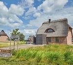 Hauptansicht - Künstlerkate Seeadler - Top-Hundeurlaub