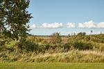 Meerblick - Atelierhaus Regenbogen - Top-Hundeurlaub