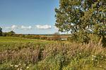 Meerblick - Atelierhaus Regenbogen - Top-Hundeurlaub