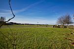 FeWo 299: Terrasse, Ausblick - Top-Hundeurlaub