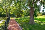Garten - Lütten Uttied - Top-Hundeurlaub