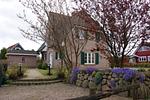 Garten - Friesenhaus Vier Jahreszeiten - Top-Hundeurlaub