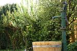 Garten - Lotte - Top-Hundeurlaub