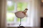 Dekoratives Detail - Ebb - Top-Hundeurlaub