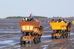 Strand - FeWo 06.10 - Top-Hundeurlaub