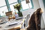 Villa Bundi - Top-Hundeurlaub