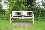 Garten - Uttumer Mühle: Daike - Top-Hundeurlaub