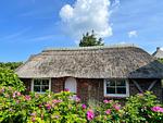 Fischerhütte Sylt - Top-Hundeurlaub