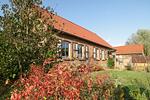 Ferienhaus Sommerfrische Fassade / Eingang - Ferienhaus Sommerfrische am Müritzsee - Top-Hundeurlaub