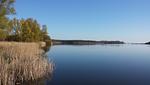 FeWo Müritzblick Landschaft - Ferienwohnung Müritzblick mit Wasserblick - Top-Hundeurlaub