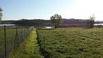 FeWo Müritzblick Landschaft - Ferienwohnung Müritzblick mit Wasserblick - Top-Hundeurlaub
