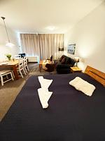 Haubentaucher - Top-Hundeurlaub