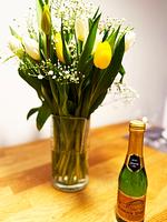 Haubentaucher - Top-Hundeurlaub