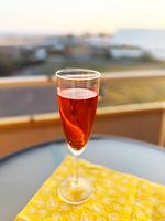 Haubentaucher - Top-Hundeurlaub