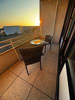 Haubentaucher - Top-Hundeurlaub