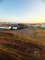 Haubentaucher - Top-Hundeurlaub