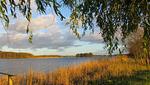 FeWo Müritzkoje Landschaft - Ferienwohnung Müritzkoje - Top-Hundeurlaub