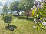 FeWo Müritzkoje Landschaft - Ferienwohnung Müritzkoje - Top-Hundeurlaub