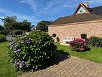 Residenz Dünenmeer - Top-Hundeurlaub