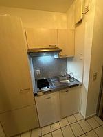 Seepferdchen - Top-Hundeurlaub