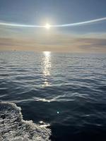 Seepferdchen - Top-Hundeurlaub