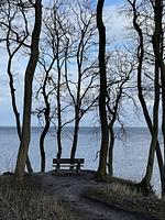 Seepferdchen - Top-Hundeurlaub