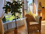 Im Dorf 30 - Top-Hundeurlaub