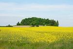 Nachbarschaft - FeWo2: Terrasse,Garten,Meerblick - Top-Hundeurlaub
