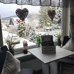 Wohnzimmer - 4-Sterne Wurmbergblick Nico Braunlage - Top-Hundeurlaub