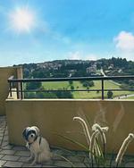 Balkon - App. 587 im Panoramic mit Pool und Sauna - Top-Hundeurlaub