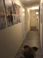 Dekoratives Detail - 4-Sterne Wurmbergtraum Celina in Braunlage - Top-Hundeurlaub