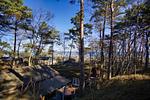 Gartenblick - Chalet: strandnah, Terrasse - Top-Hundeurlaub