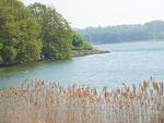 Reetdachkate Ekenis - Top-Hundeurlaub