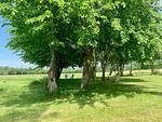 Remise Anker (links) - Top-Hundeurlaub
