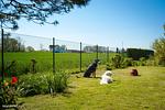Kronsgaard Dorfstraße - Top-Hundeurlaub