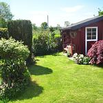 Kronsgaard Pferdekoppel 11 - Top-Hundeurlaub