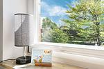 Gartenblick - Baltic Suite 16 - Top-Hundeurlaub