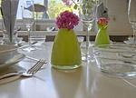 Maike - Wohnung mit Terrasse und kleinem Garten - Top-Hundeurlaub