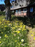 Ferienwohnung Nostalgische Auszeit - Top-Hundeurlaub