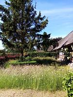 Ferienwohnung Nostalgische Auszeit - Top-Hundeurlaub