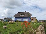 Ferienhaus Utkiek - Top-Hundeurlaub