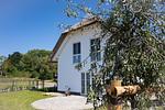Ferienhaus Hus in de Sünn in der Puddeminer Wiek - Top-Hundeurlaub