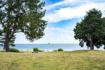 Meerblick - App. 12 - Top-Hundeurlaub