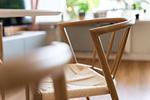Dekoratives Detail - App. 12 - Top-Hundeurlaub