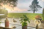 Meerblick - App. 12 - Top-Hundeurlaub