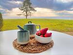 Gartenblick - App. 12 - Top-Hundeurlaub