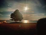 Meerblick - App. 12 - Top-Hundeurlaub